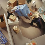 Why Hire Professional Commercial Removals to Move Your Office?