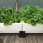 Self-Watering Garden Planter Pots Make Vegetable Gardening Easy