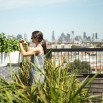 How to Start a Small Balcony Garden