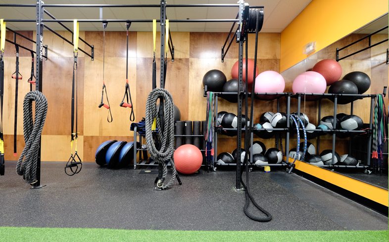 Functional Fitness Rigs