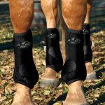 Keep You Horse On the Go with Protective Boots