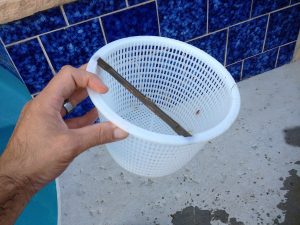 swimming pool strainer baskets