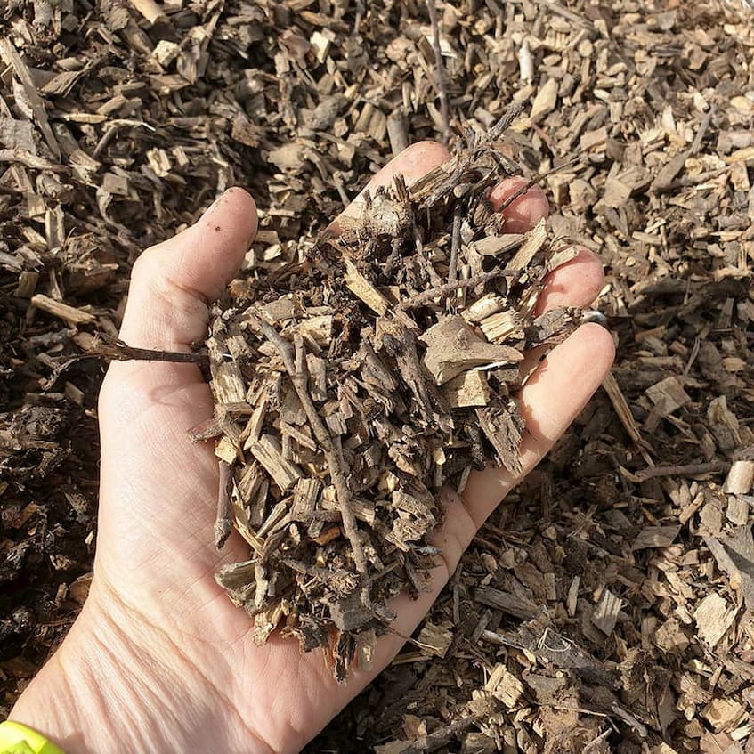 man holding on his hand a wood chip