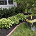 Wood Chip Mulch: Benefits & How to Use It in Your Garden