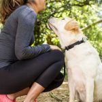 Pet Safety: The Perks of Having a GPS Tracker For Your Dog