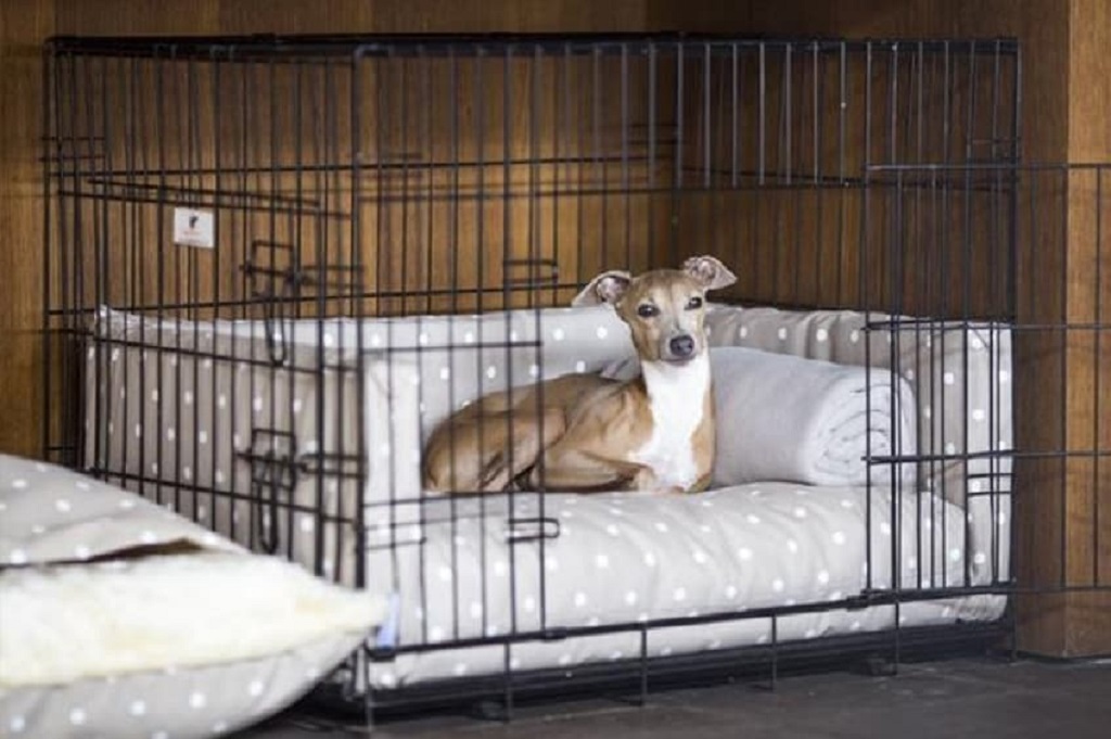 Kennel Dog Beds