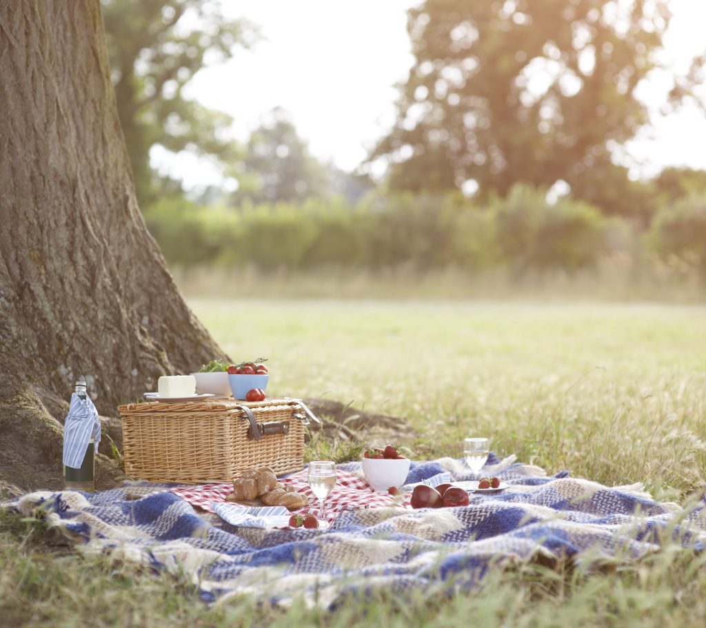 picnic blanket in the nature with drinks and food on it