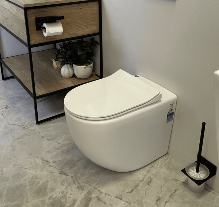 in-wall toilet