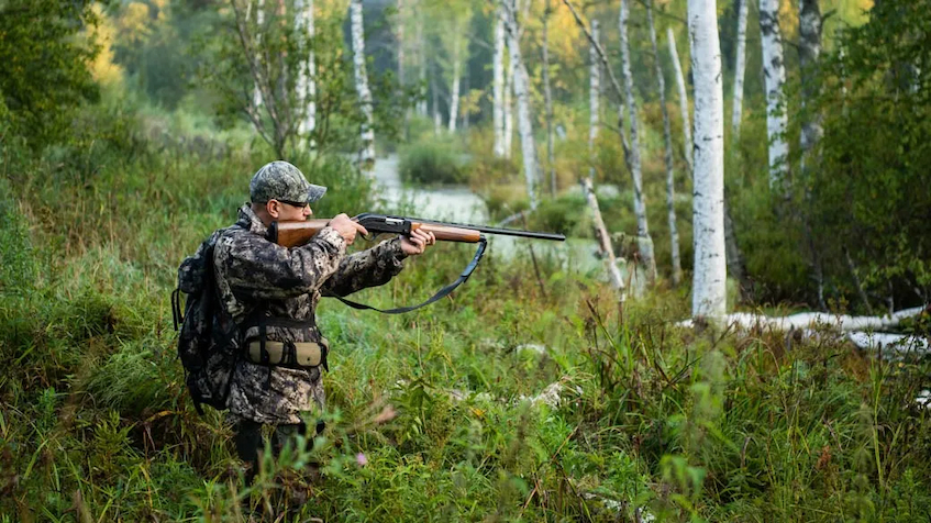 hunting-wildlife