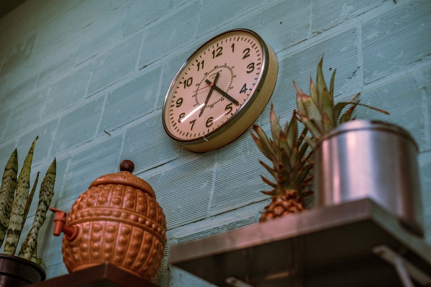 wall clock above the plants