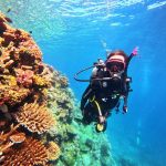 dive fiji